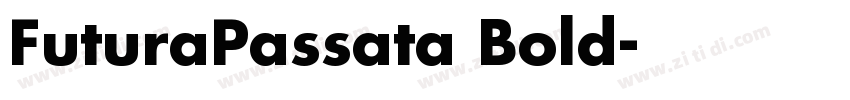FuturaPassata Bold字体转换